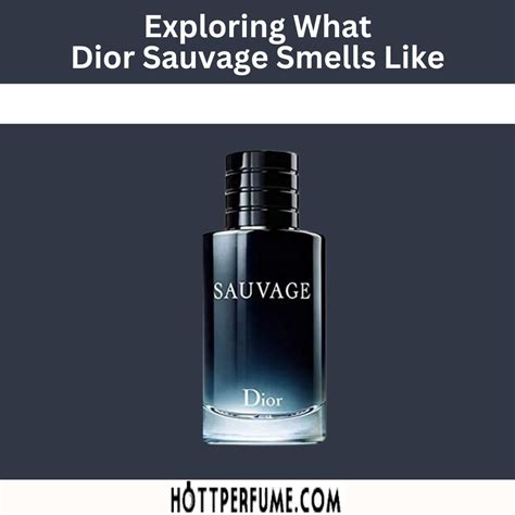 essens dior sauvage|what does dior sauvage smell like.